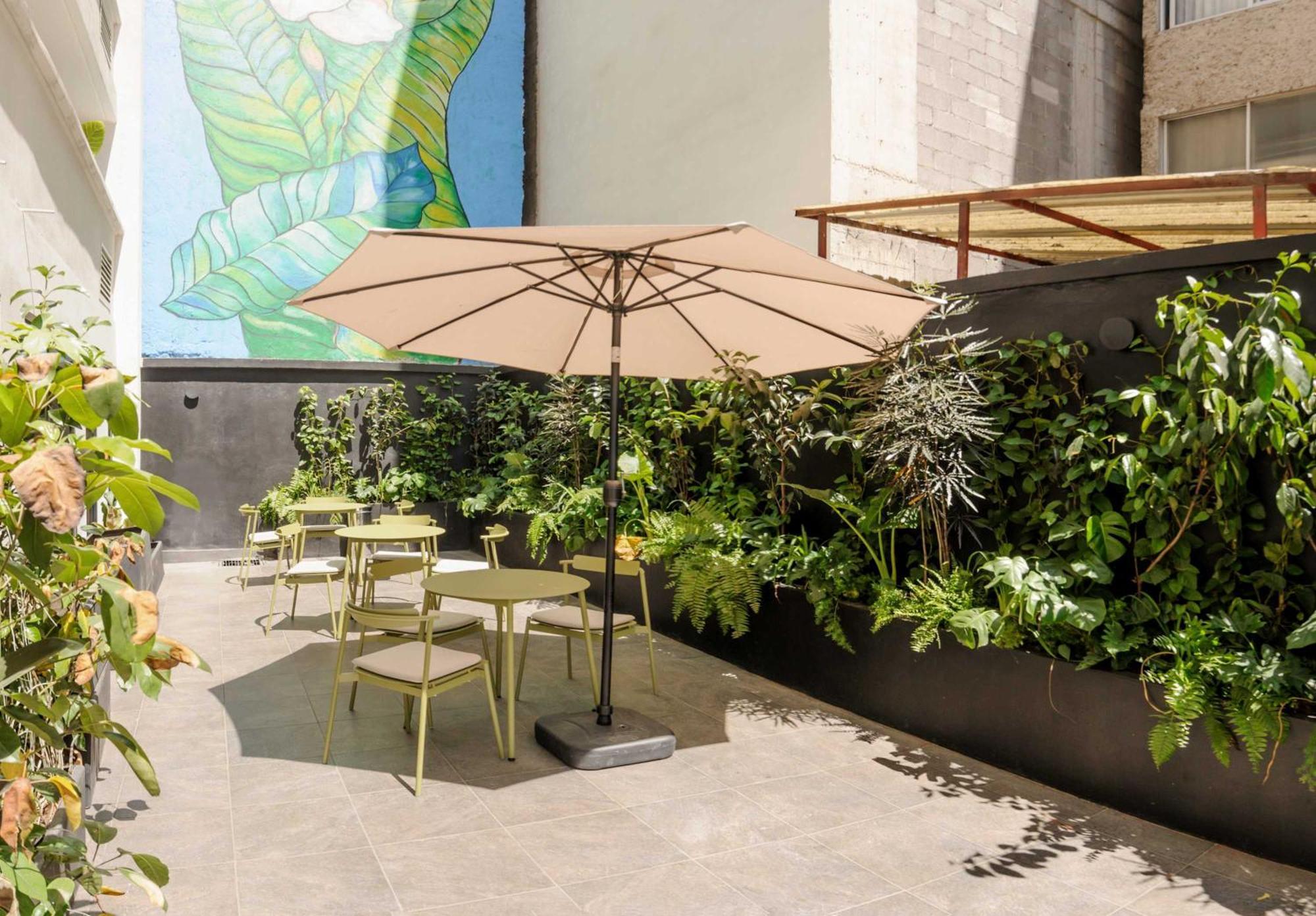 Colima 340 By Wynwood House Apartment Ciudad de México Exterior foto